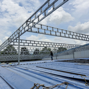 Mái che trà vinh cao cấp